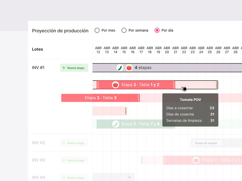 Personal Portfolio Images