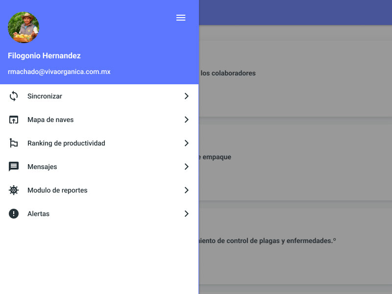 Personal Portfolio Images